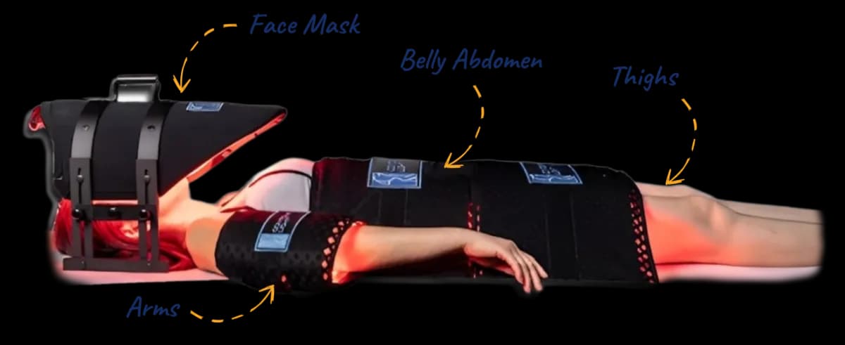 Contour Light device diagram showing treated areas: face mask, belly and abdomen, thighs and arms